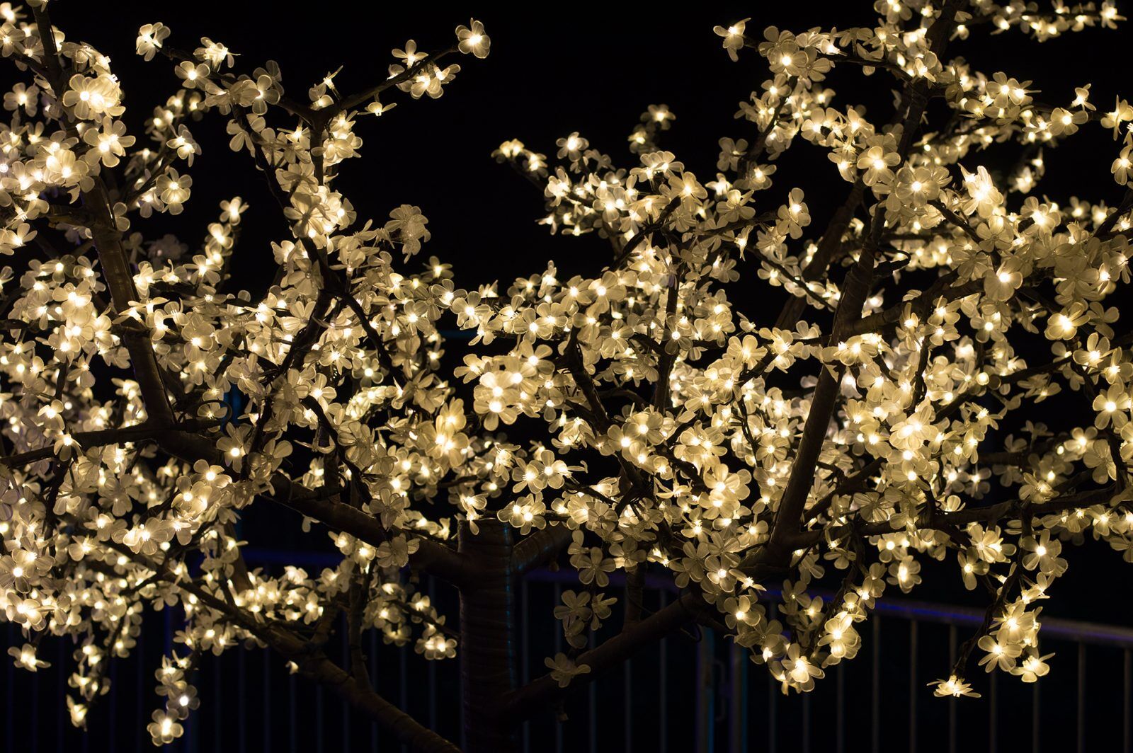 Clights
