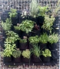 recycle-verticale-tuin Recycle verticale tuin